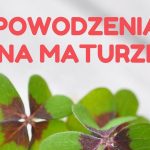 Dziś rozpoczynają się matury!