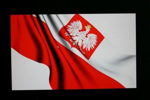 zswolborz.pl_zscku_w_wolborzu_11_Listopada_20173