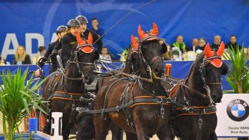 zswolborz.pl_zscku_w_wolborzu_CAVALIADA_Lublin_20181