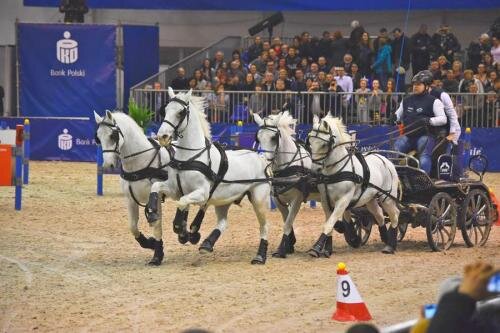 zswolborz.pl_zscku_w_wolborzu_CAVALIADA_Lublin_201813