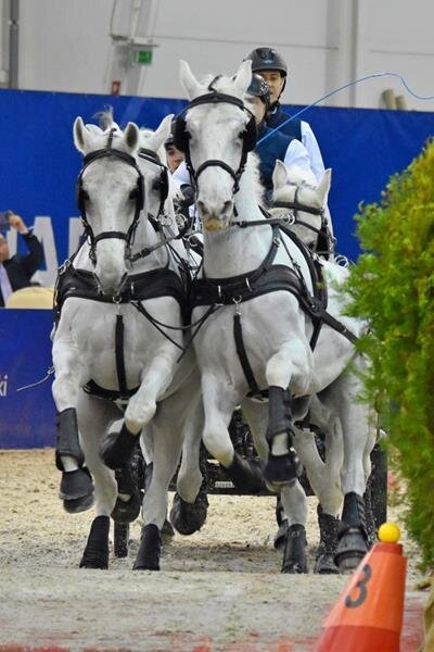 zswolborz.pl_zscku_w_wolborzu_CAVALIADA_Lublin_201814
