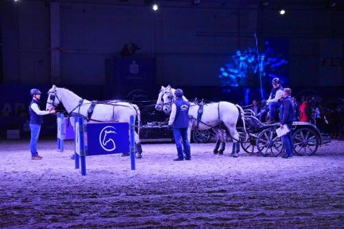 zswolborz.pl_zscku_w_wolborzu_CAVALIADA_Lublin_201815