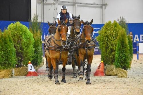 zswolborz.pl_zscku_w_wolborzu_CAVALIADA_Lublin_20185