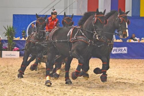 zswolborz.pl_zscku_w_wolborzu_CAVALIADA_Lublin_20189