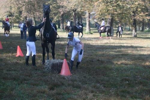 zswolborz.pl_zscku_w_wolborzu_Darz_Bor11