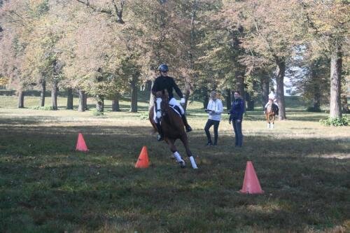 zswolborz.pl_zscku_w_wolborzu_Darz_Bor12