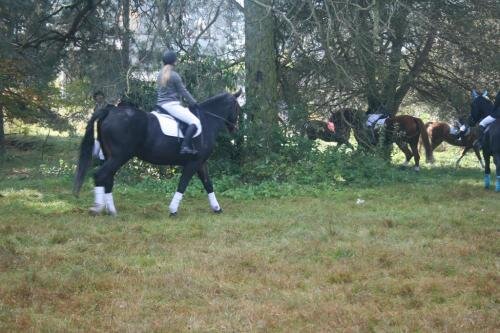 zswolborz.pl_zscku_w_wolborzu_Darz_Bor14