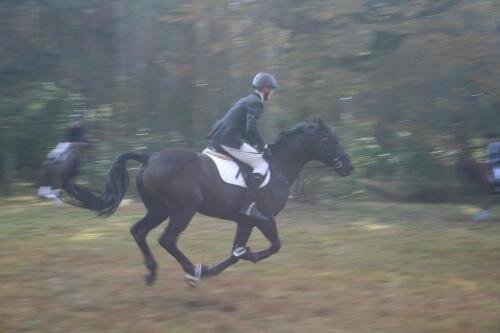 zswolborz.pl_zscku_w_wolborzu_Darz_Bor15