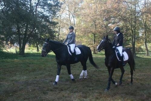 zswolborz.pl_zscku_w_wolborzu_Darz_Bor16