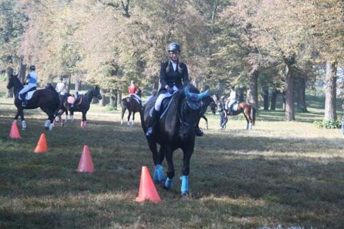 zswolborz.pl_zscku_w_wolborzu_Darz_Bor4