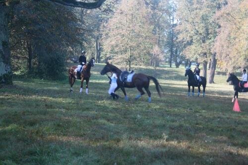 zswolborz.pl_zscku_w_wolborzu_Darz_Bor5