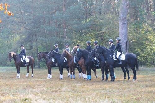 zswolborz.pl_zscku_w_wolborzu_Darz_Bor6