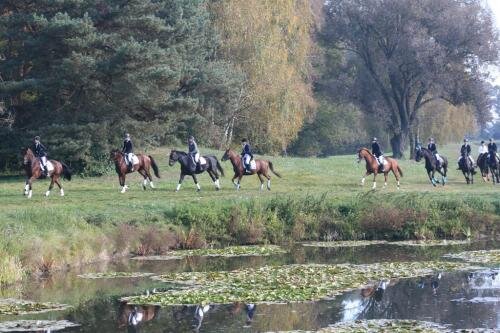 zswolborz.pl_zscku_w_wolborzu_Darz_Bor7