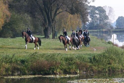 zswolborz.pl_zscku_w_wolborzu_Darz_Bor8