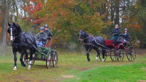 zswolborz.pl_zscku_w_wolborzu_Deszczowy_Hubertus_2017_w_Technikum_Hodowli_Koni6