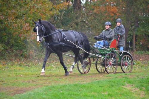 zswolborz.pl_zscku_w_wolborzu_Deszczowy_Hubertus_2017_w_Technikum_Hodowli_Koni8
