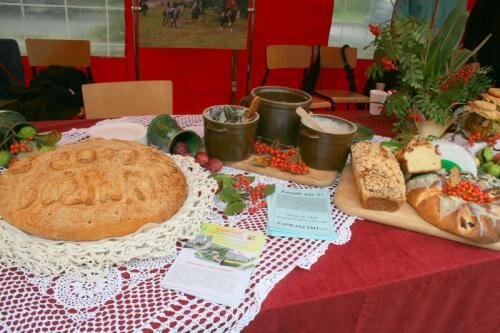 zswolborz.pl_zscku_w_wolborzu_Dozynki_20174