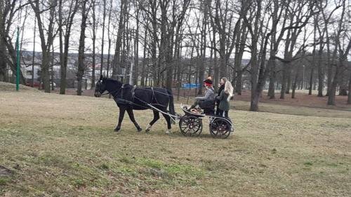 zswolborz.pl_zscku_w_wolborzu_Festiwal_nauki_13