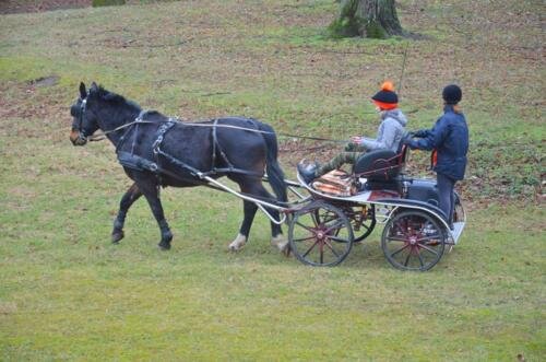 zswolborz.pl_zscku_w_wolborzu_Festiwal_nauki_5