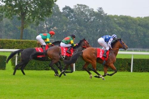 zswolborz.pl_zscku_w_wolborzu_Jesienna_Gala_Wyscigowa_na_Sluzewcu3