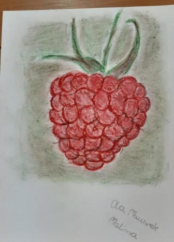 zswolborz.pl_zscku_w_wolborzu_Kolo_plastyczne_zaprasza_3