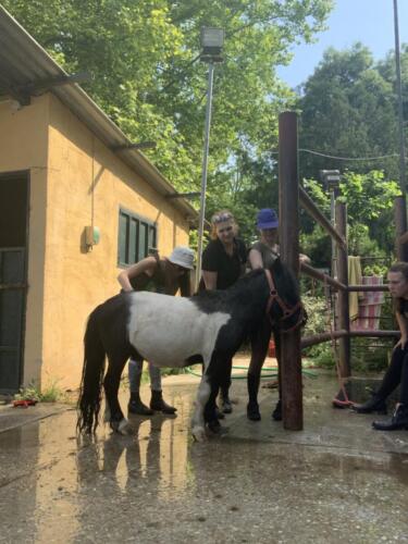 zswolborz.pl_zscku_w_wolborzu_Podsumowanie_II_mobilnosci_w_ramach_projektu_Eramus_24