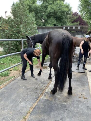 zswolborz.pl_zscku_w_wolborzu_Podsumowanie_II_mobilnosci_w_ramach_projektu_Eramus_26