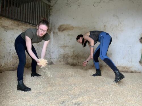 zswolborz.pl_zscku_w_wolborzu_Podsumowanie_II_mobilnosci_w_ramach_projektu_Eramus_34