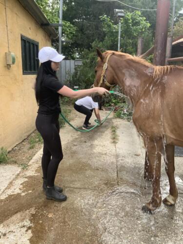 zswolborz.pl_zscku_w_wolborzu_Podsumowanie_II_mobilnosci_w_ramach_projektu_Eramus_35