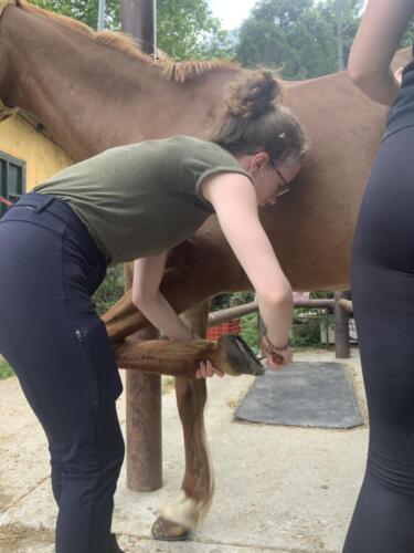 zswolborz.pl_zscku_w_wolborzu_Podsumowanie_II_mobilnosci_w_ramach_projektu_Eramus_39