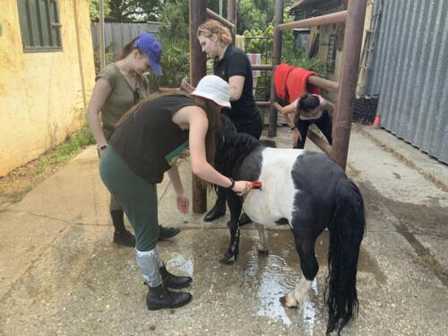 zswolborz.pl_zscku_w_wolborzu_Podsumowanie_II_mobilnosci_w_ramach_projektu_Eramus_42