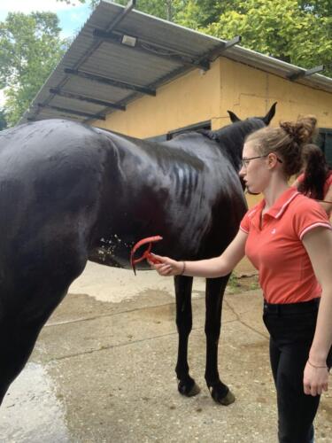 zswolborz.pl_zscku_w_wolborzu_Podsumowanie_II_mobilnosci_w_ramach_projektu_Eramus_43