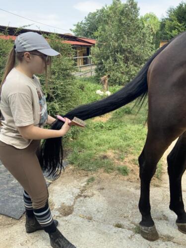 zswolborz.pl_zscku_w_wolborzu_Podsumowanie_II_mobilnosci_w_ramach_projektu_Eramus_51