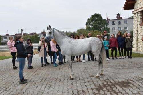 zswolborz.pl_zscku_w_wolborzu_Wycieczka_do_stadniny_w_Michalowie_1