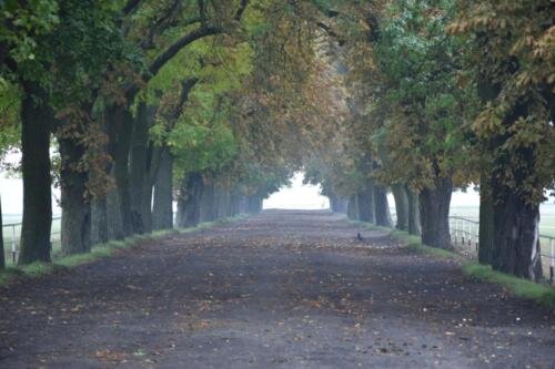 zswolborz.pl_zscku_w_wolborzu_Wycieczka_do_stadniny_w_Michalowie_3