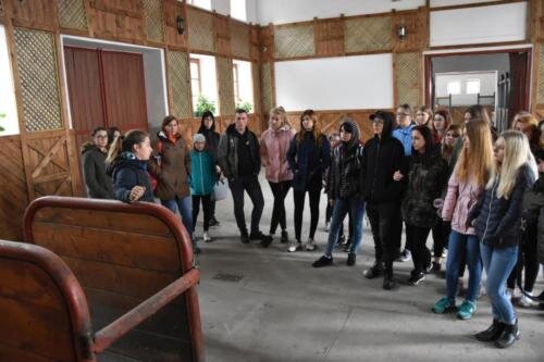 zswolborz.pl_zscku_w_wolborzu_Wycieczka_do_stadniny_w_Michalowie_4