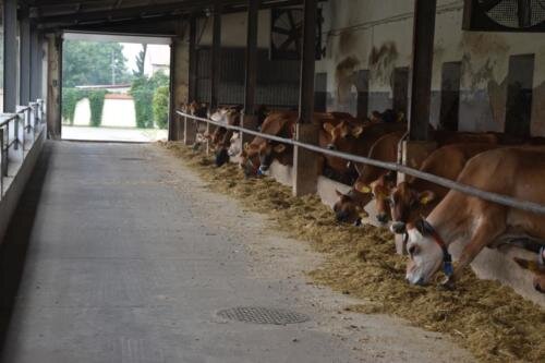 zswolborz.pl_zscku_w_wolborzu_Wycieczka_do_stadniny_w_Michalowie_5