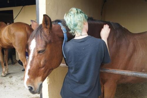 zswolborz.pl_zscku_w_wolborzu_erasmus_Czwartek_14_11_2019_Grecja24