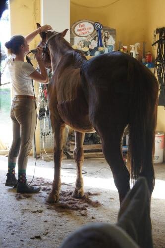 zswolborz.pl_zscku_w_wolborzu_erasmus_Poniedziałek_11_11_2019_Grecja3