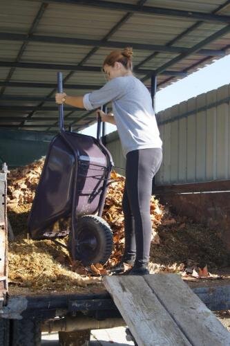 zswolborz.pl_zscku_w_wolborzu_erasmus_Poniedziałek_11_11_2019_Grecja4