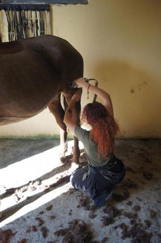 zswolborz.pl_zscku_w_wolborzu_erasmus_Poniedziałek_11_11_2019_Grecja5