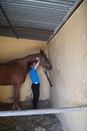 zswolborz.pl_zscku_w_wolborzu_erasmus_Poniedziałek_11_11_2019_Grecja6