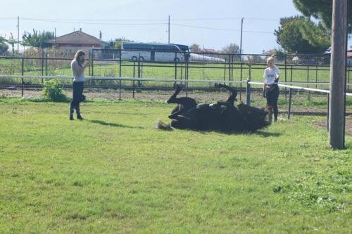 zswolborz.pl_zscku_w_wolborzu_erasmus_Poniedziałek_11_11_2019_Grecja7