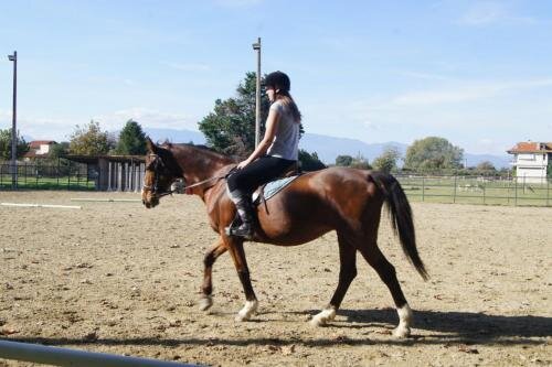 zswolborz.pl_zscku_w_wolborzu_erasmus_Poniedziałek_11_11_2019_Grecja8