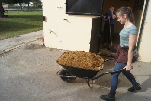 zswolborz.pl_zscku_w_wolborzu_erasmus_Sroda_06_11_2019_Grecja37