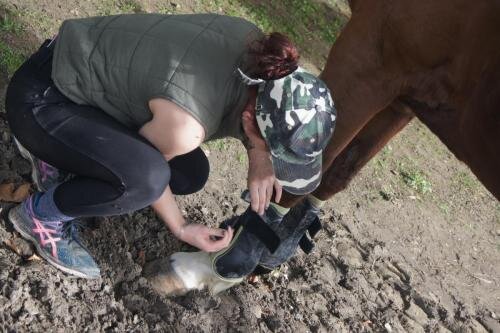 zswolborz.pl_zscku_w_wolborzu_erasmus_Sroda_06_11_2019_Grecja42