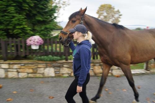 zswolborz.pl_zscku_w_wolborzu_erasmus_Sroda_13_11_2019_Grecja10