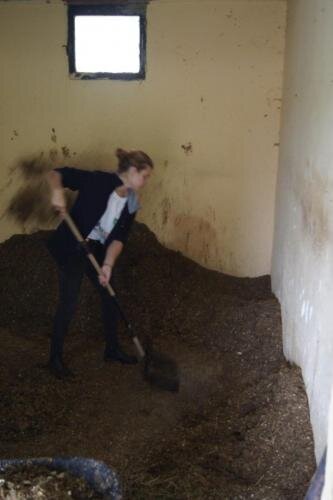 zswolborz.pl_zscku_w_wolborzu_erasmus_Sroda_13_11_2019_Grecja12