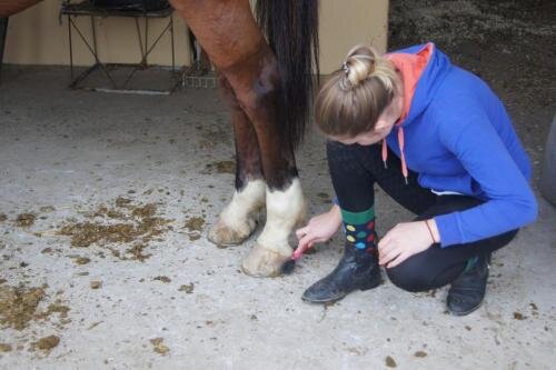 zswolborz.pl_zscku_w_wolborzu_erasmus_Sroda_13_11_2019_Grecja15