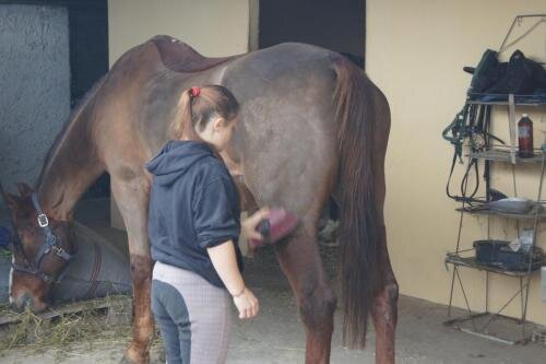 zswolborz.pl_zscku_w_wolborzu_erasmus_Sroda_13_11_2019_Grecja16